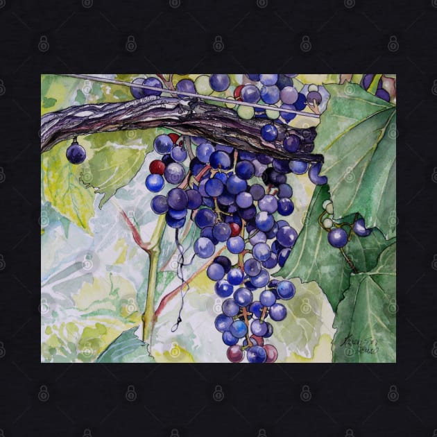 Grapes by Zodiart